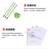廠家定制國標(biāo)接地線組