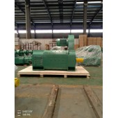 廠家直供Z4-250-21 185KW